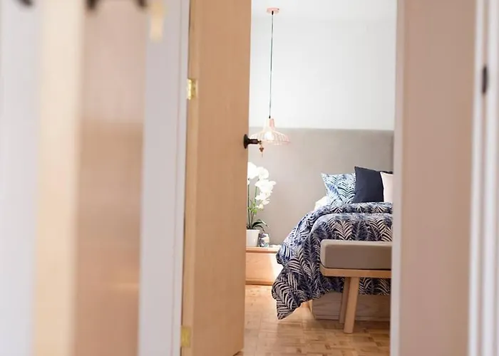 Apartamento Cozy In Condesa's Heart ! México DF